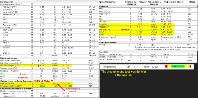 Bodimed-finale.webp