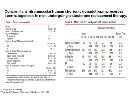 HCG TRT fertility.webp