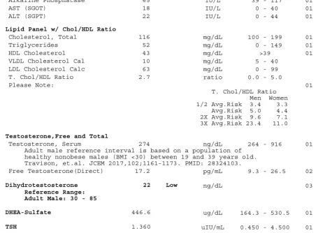 Labs 2 .webp