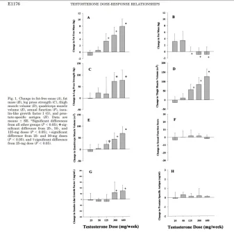 testosterone body composition muscle.webp