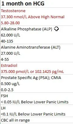 1 month on HCG.webp