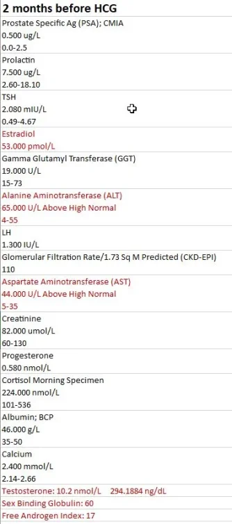 2 months prior to HCG.webp