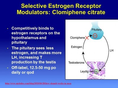 cost for clomiphene