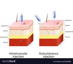 Subcutaneous vs intramuscular testosterone study- ( abraham morgentaler ...