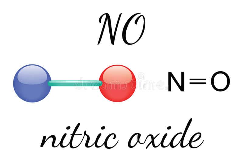 Gene's Nitric Oxide Stack Video ExcelMale